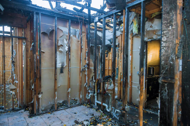 Professional Smoke Damage Removal technician working in Aurora, MN